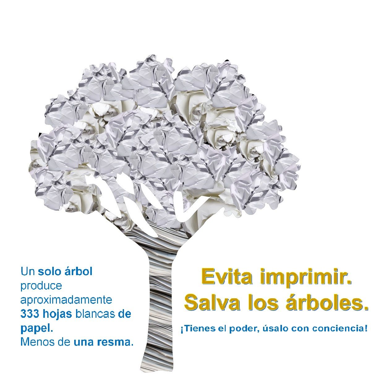 Boletín papel