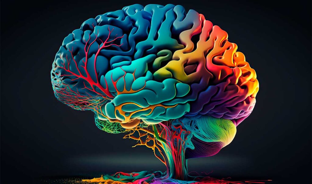 nueve-datos-cerebro-1024×605
